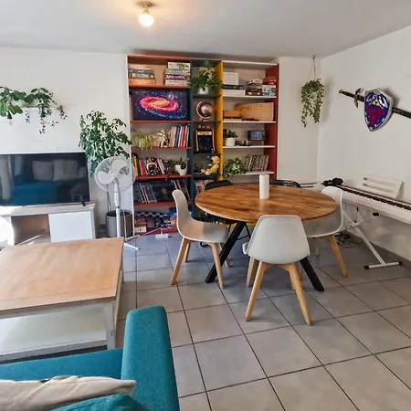 Duplex Avec Jardin Au Calme Toulouse